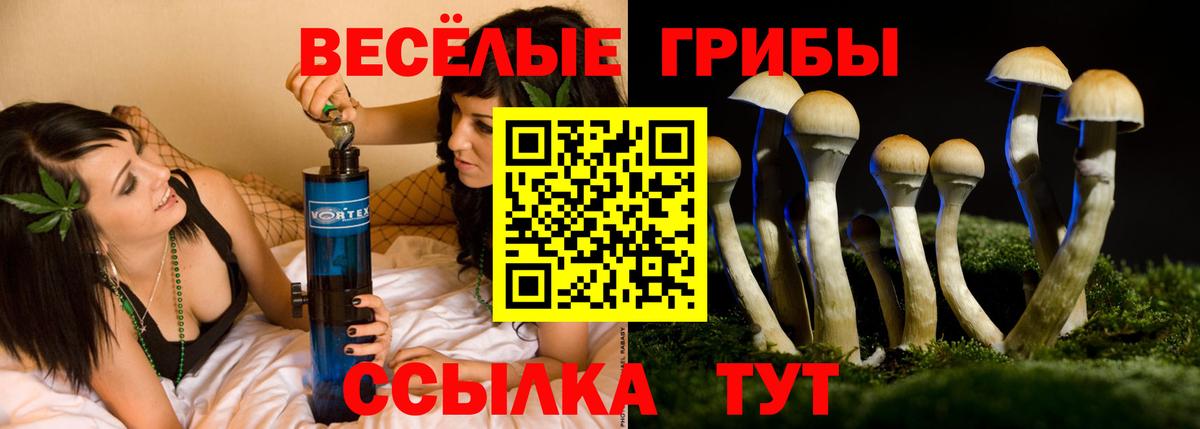 Псилоцибиновые грибы прущие грибы  Псилоцибиновые грибы Psilocybine cubensis  Вход с VPN  Чапаевск 